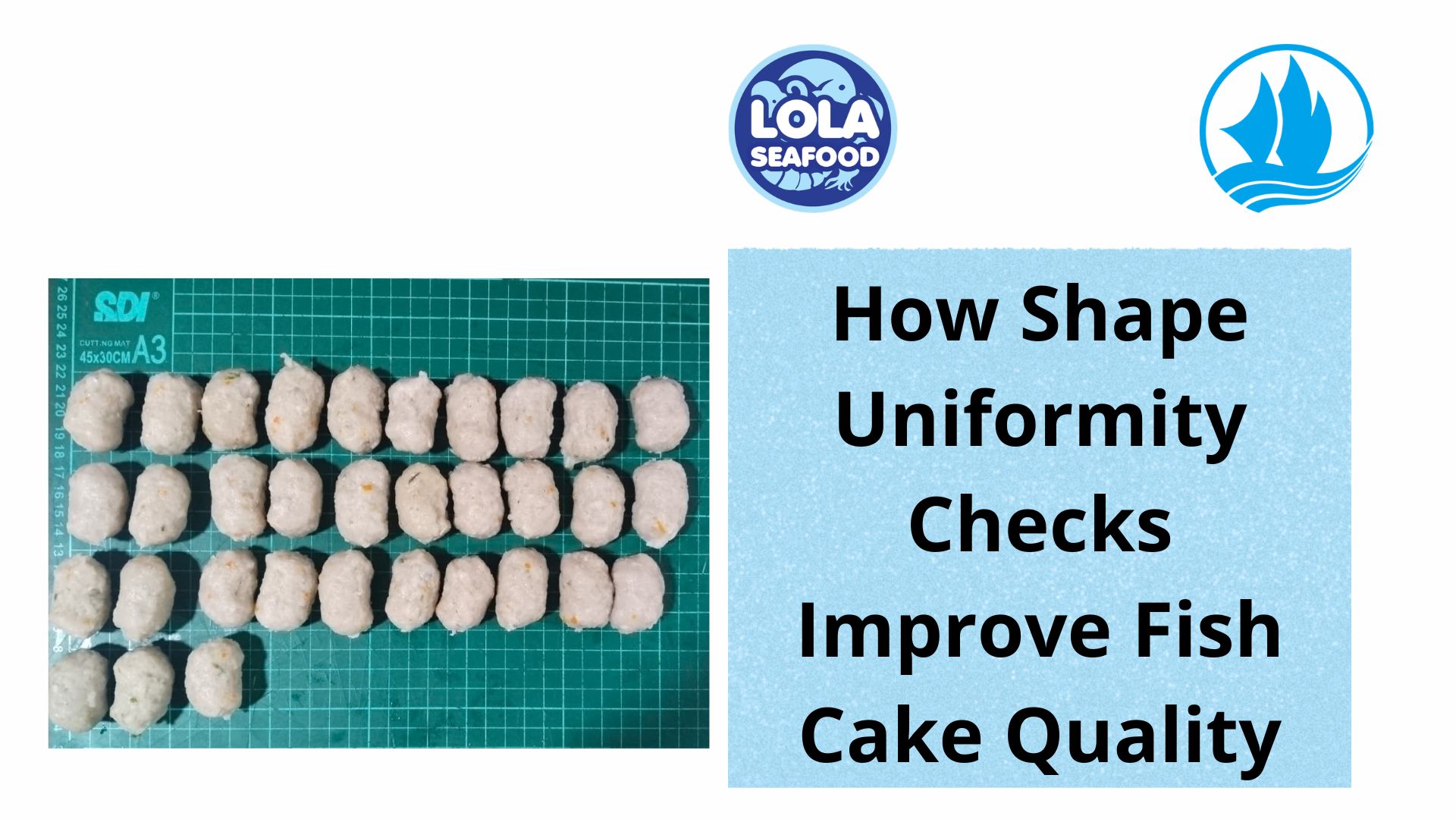  How Shape Uniformity Checks Improve Fish Cake Quality